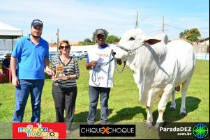 Expopar Julgamento Nelore Mocho