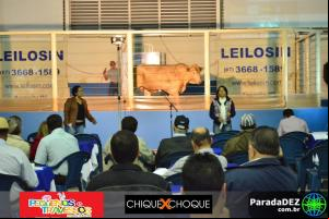 Expopar Leilão Canchim