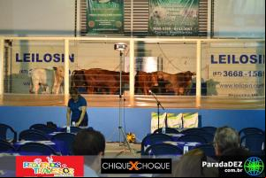 Expopar Leilão Santa Gertrudis