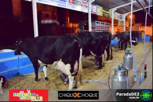 Expopar Ordenha