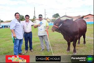 Expopar Julgamento Santa Gertrudis